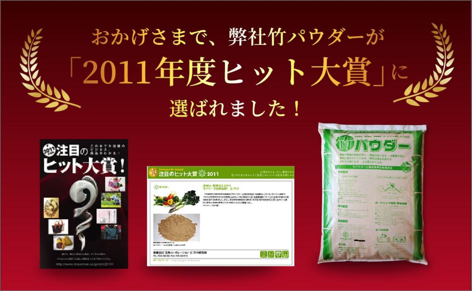 2011年度ヒット大賞