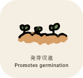 効果