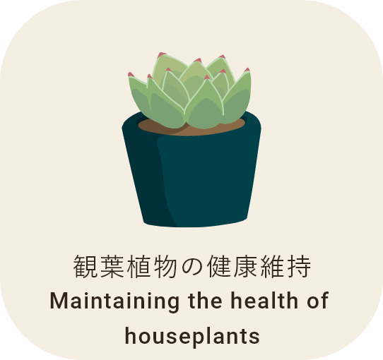 効果