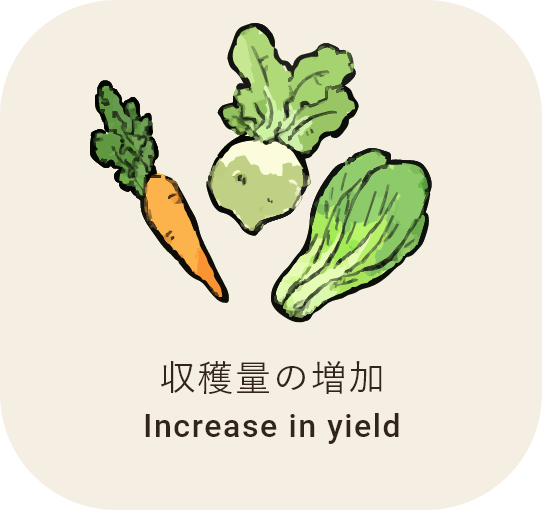 効果