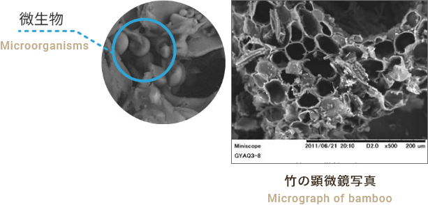 超微粒子化により圧倒的な発酵スピードを発揮