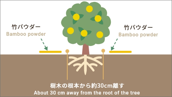 果樹栽培