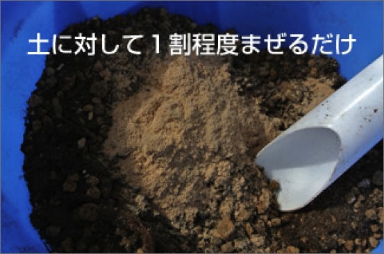 プランター・鉢栽培