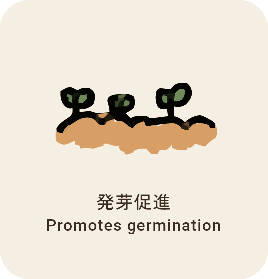 発芽促進