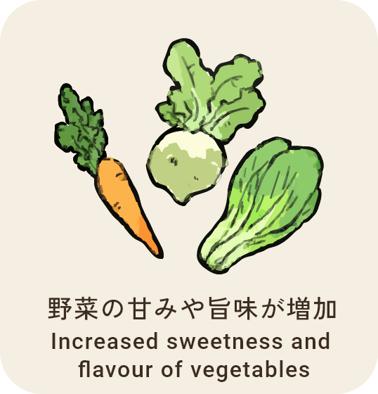 野菜の甘みや旨味が増加